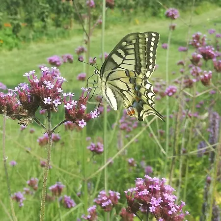 In De 7e Hemel Appartamento *