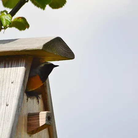 In De 7e Hemel Appartamento Grashoek