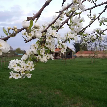 In De 7e Hemel Appartamento *