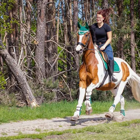 In De 7e Hemel Apartament