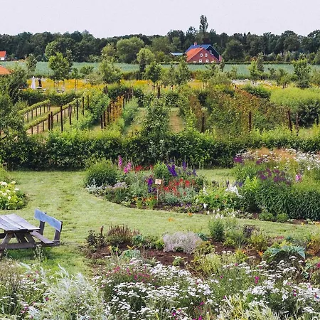 In De 7e Hemel * Grashoek