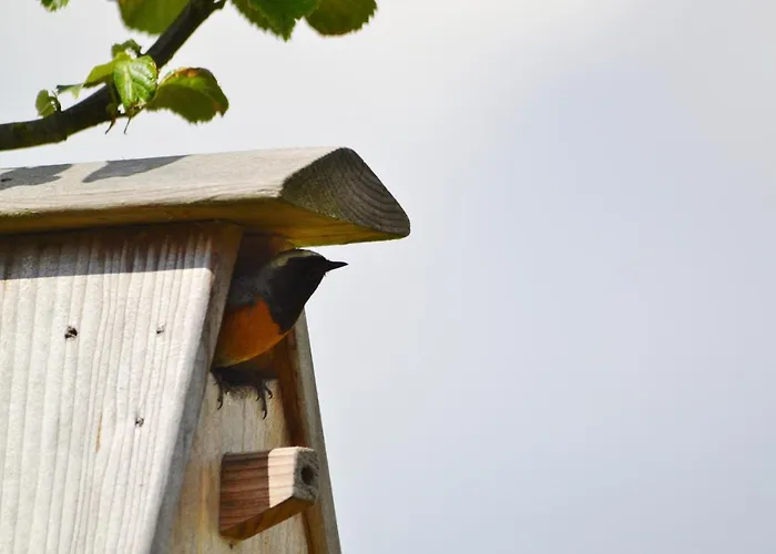 In De 7e Hemel شقة Grashoek