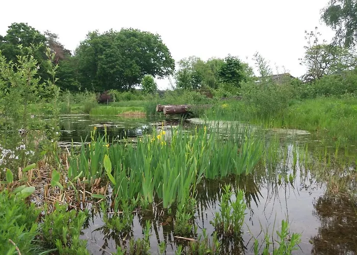 Apartamento In De 7e Hemel