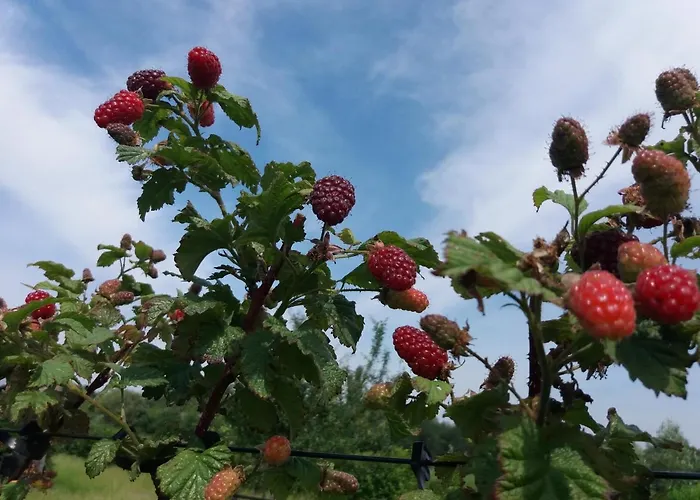 Apartamento In De 7e Hemel