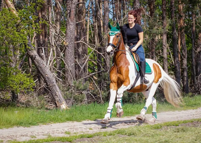 In De 7e Hemel شقة