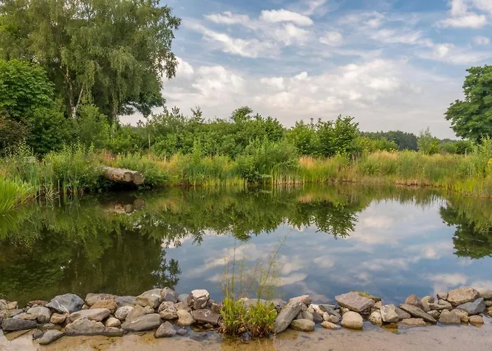 In De 7e Hemel * Grashoek