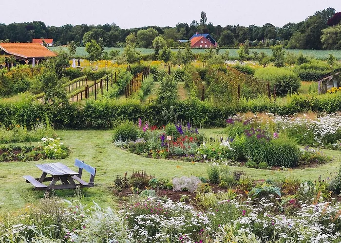 In De 7e Hemel * Grashoek