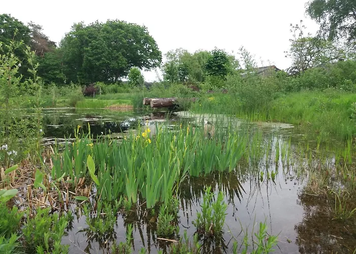 شقة In De 7e Hemel