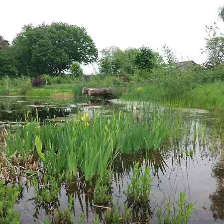 Διαμέρισμα In De 7e Hemel