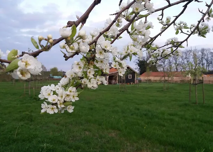 In De 7e Hemel Διαμέρισμα *